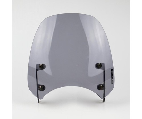 Windschild biondi rauchgrau - windschild,
